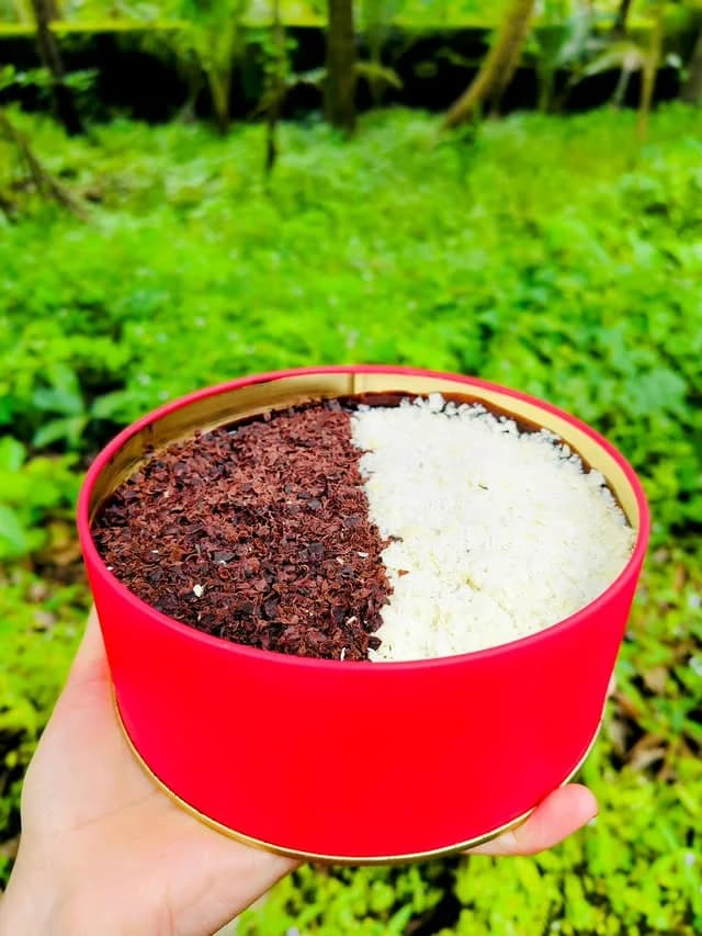 Dream Cake view 2